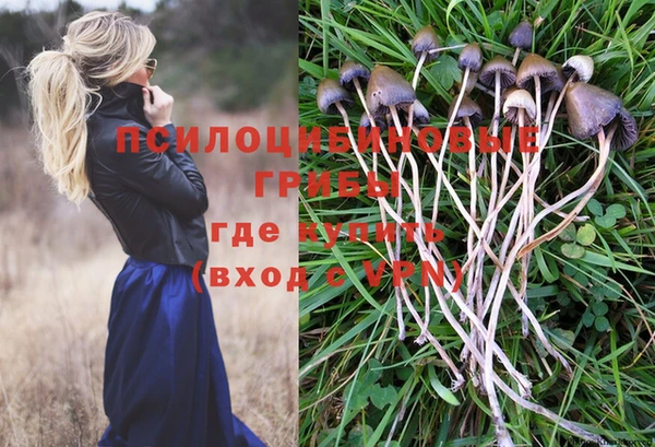амфетамин Алексин