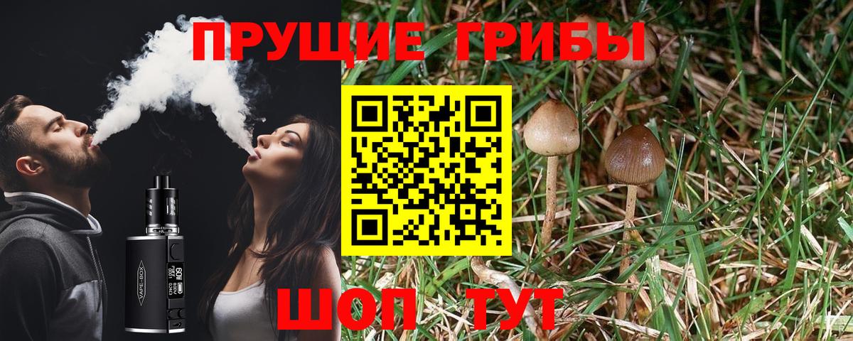Псилоцибиновые грибы MAGIC MUSHROOMS  Вход с VPN  Моздок  Псилоцибиновые грибы Psilocybine cubensis 